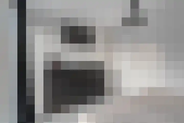 Schapendrift 135 Beilen thumbnail 25