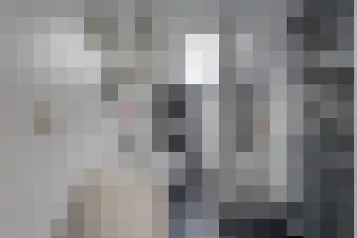 Schapendrift 135 Beilen thumbnail 26