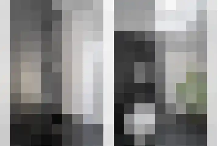 Schapendrift 135 Beilen thumbnail 27