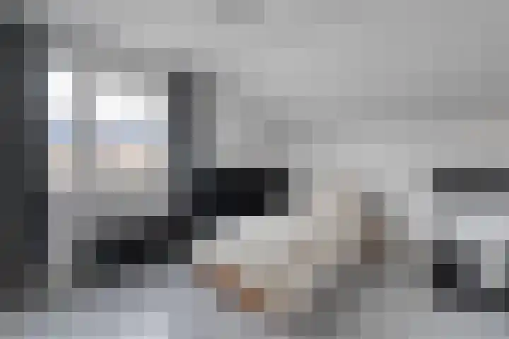 Schapendrift 135 Beilen thumbnail 28