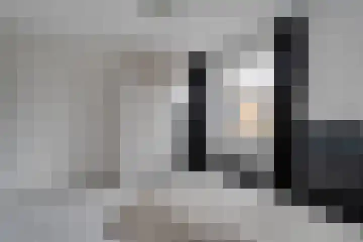 Schapendrift 135 Beilen thumbnail 29