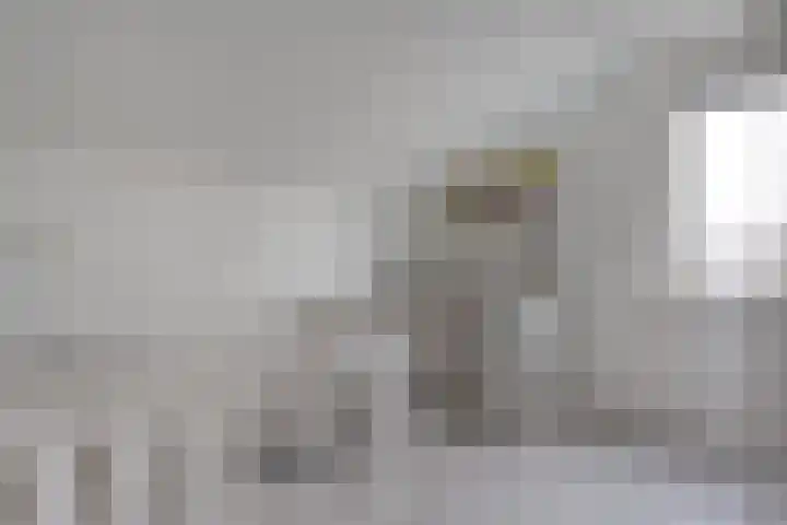 Schapendrift 135 Beilen thumbnail 30