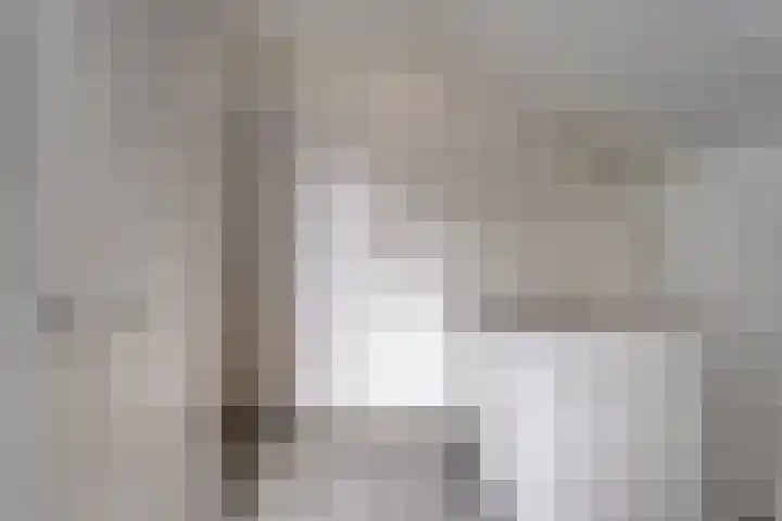 Schapendrift 135 Beilen thumbnail 31