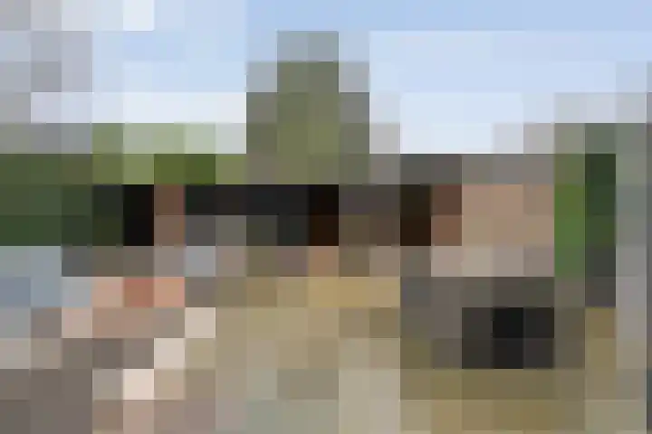 Schapendrift 135 Beilen thumbnail 34