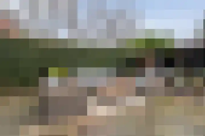 Schapendrift 135 Beilen thumbnail 35