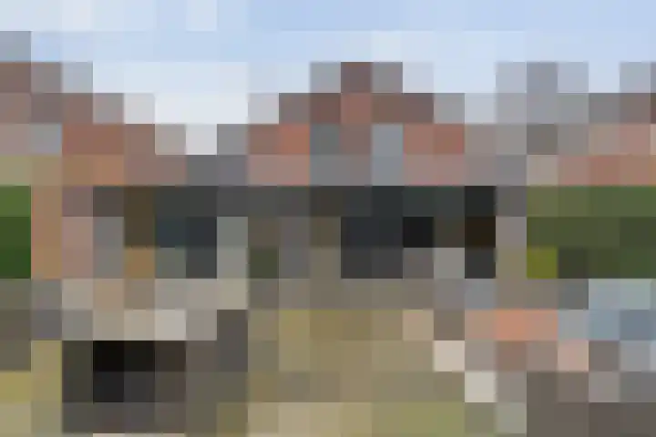 Schapendrift 135 Beilen thumbnail 36