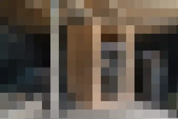 Schapendrift 135 Beilen thumbnail 39