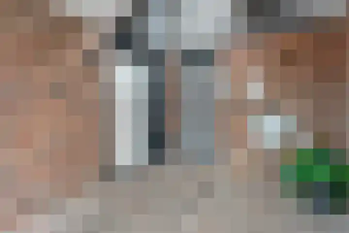 Schapendrift 135 Beilen thumbnail 4