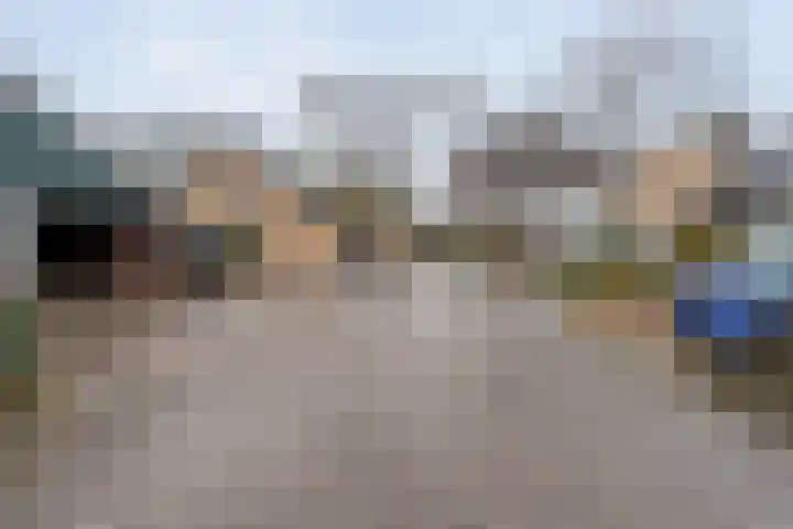 Schapendrift 135 Beilen thumbnail 40