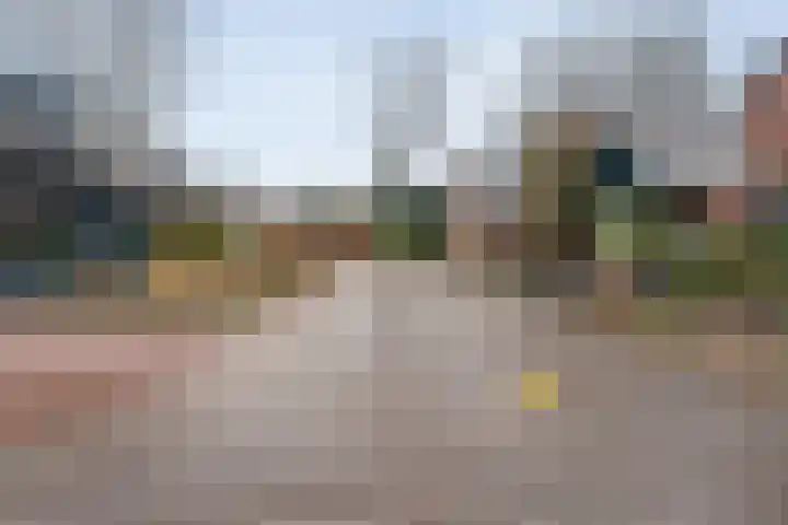 Schapendrift 135 Beilen thumbnail 41