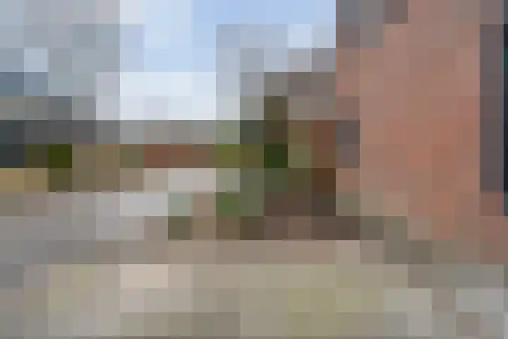Schapendrift 135 Beilen thumbnail 42