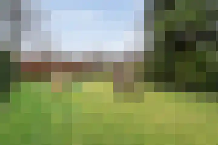 Schapendrift 135 Beilen thumbnail 43
