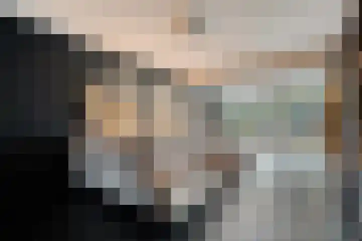 Schapendrift 135 Beilen thumbnail 8