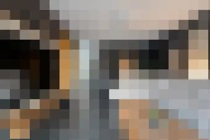 Schapendrift 135 Beilen thumbnail 9