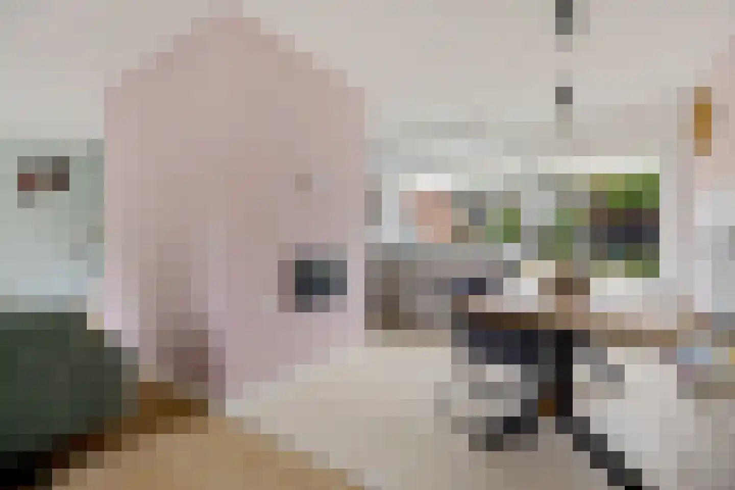 Schapendrift 143 Beilen thumbnail 12