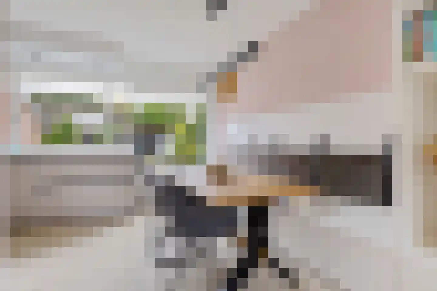 Schapendrift 143 Beilen thumbnail 13