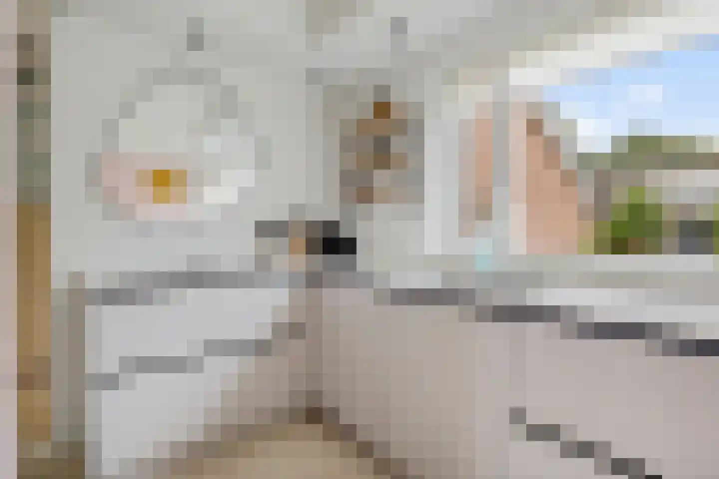 Schapendrift 143 Beilen thumbnail 15