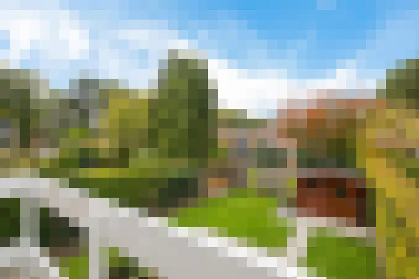 Schapendrift 143 Beilen thumbnail 26