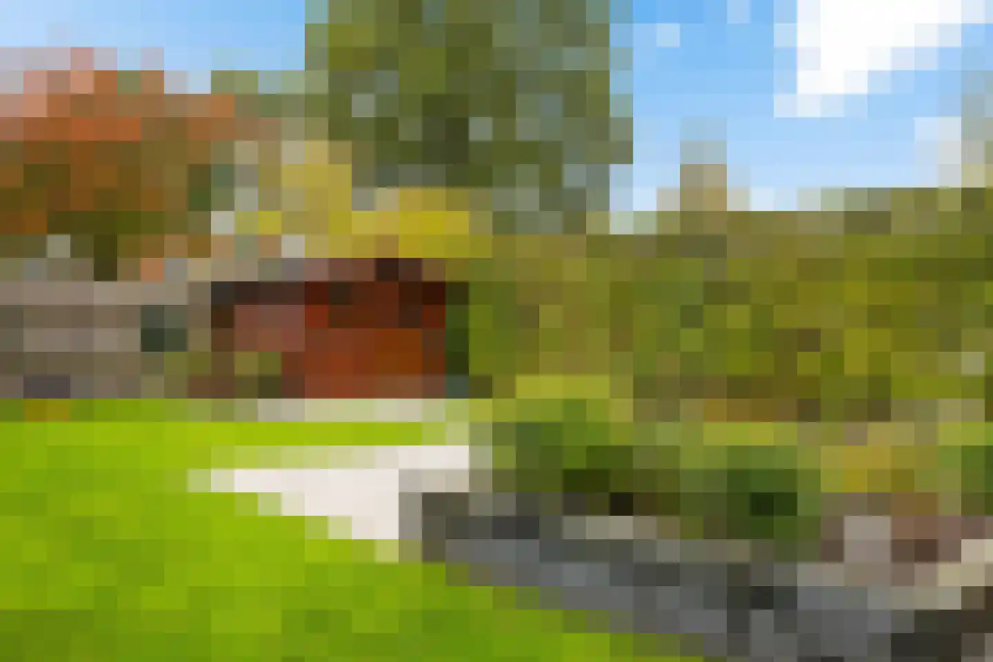Schapendrift 143 Beilen thumbnail 37