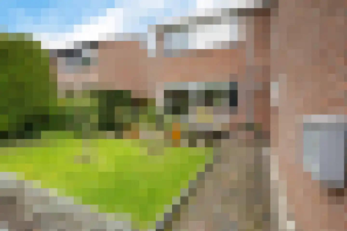 Schapendrift 143 Beilen thumbnail 40