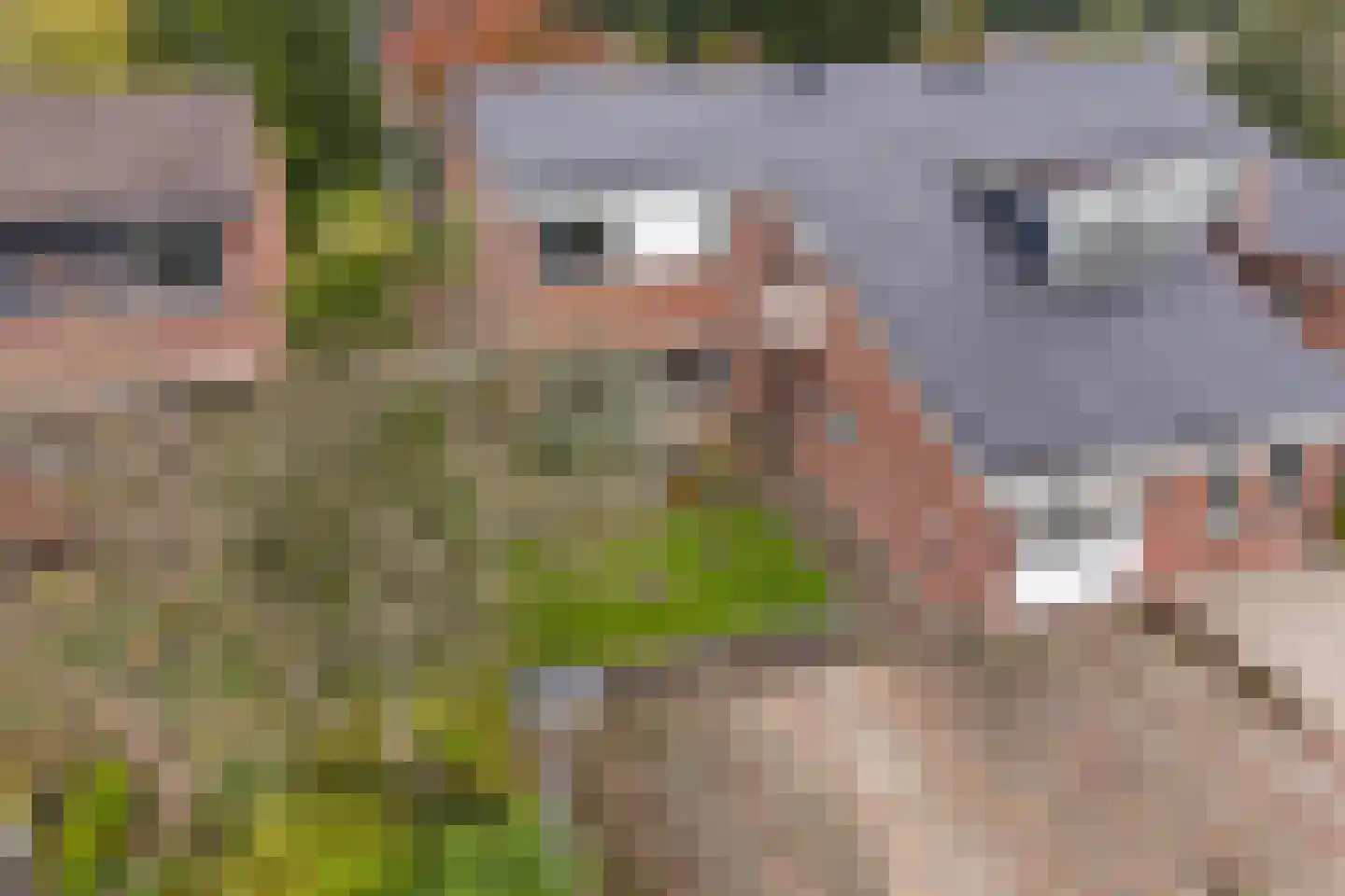 Schapendrift 143 Beilen thumbnail 42