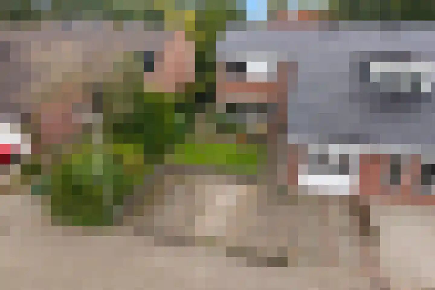 Schapendrift 143 Beilen thumbnail 44