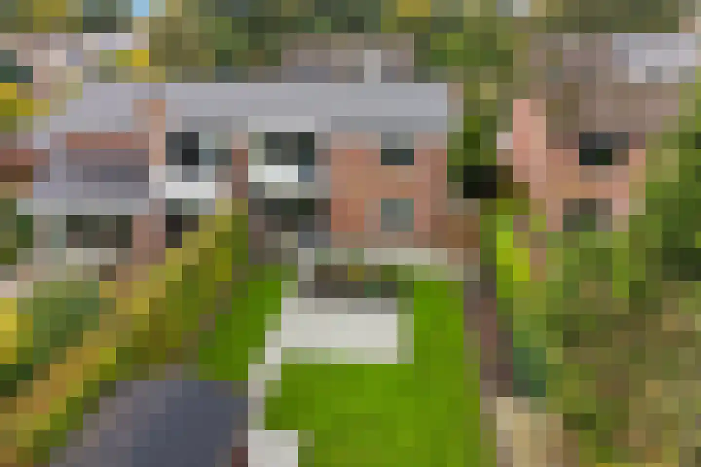 Schapendrift 143 Beilen thumbnail 46