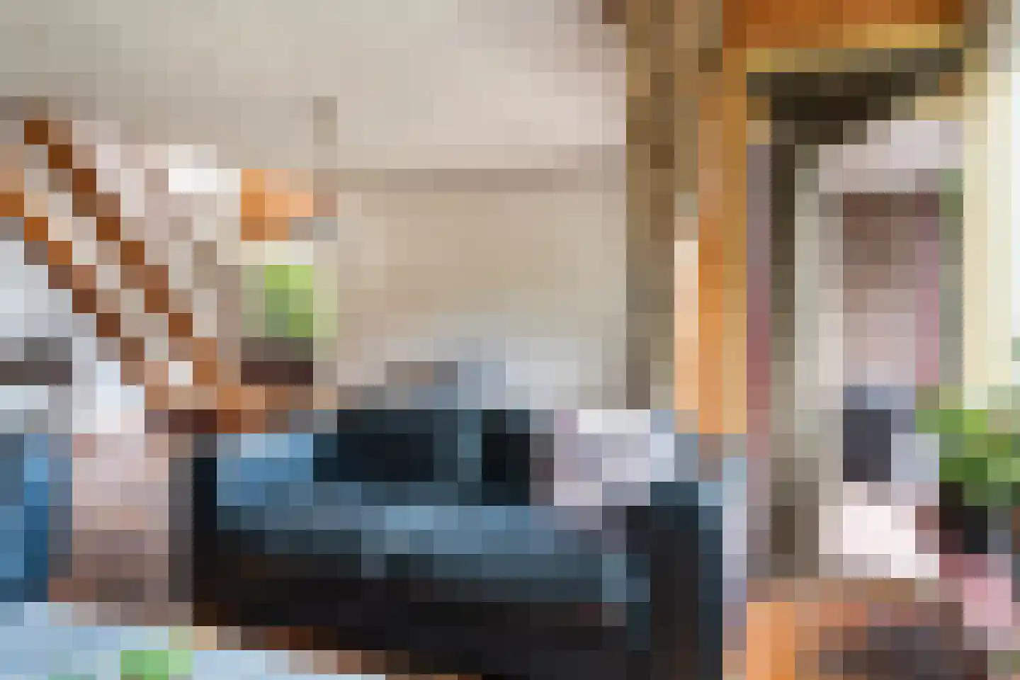 Schapendrift 151 Beilen thumbnail 11