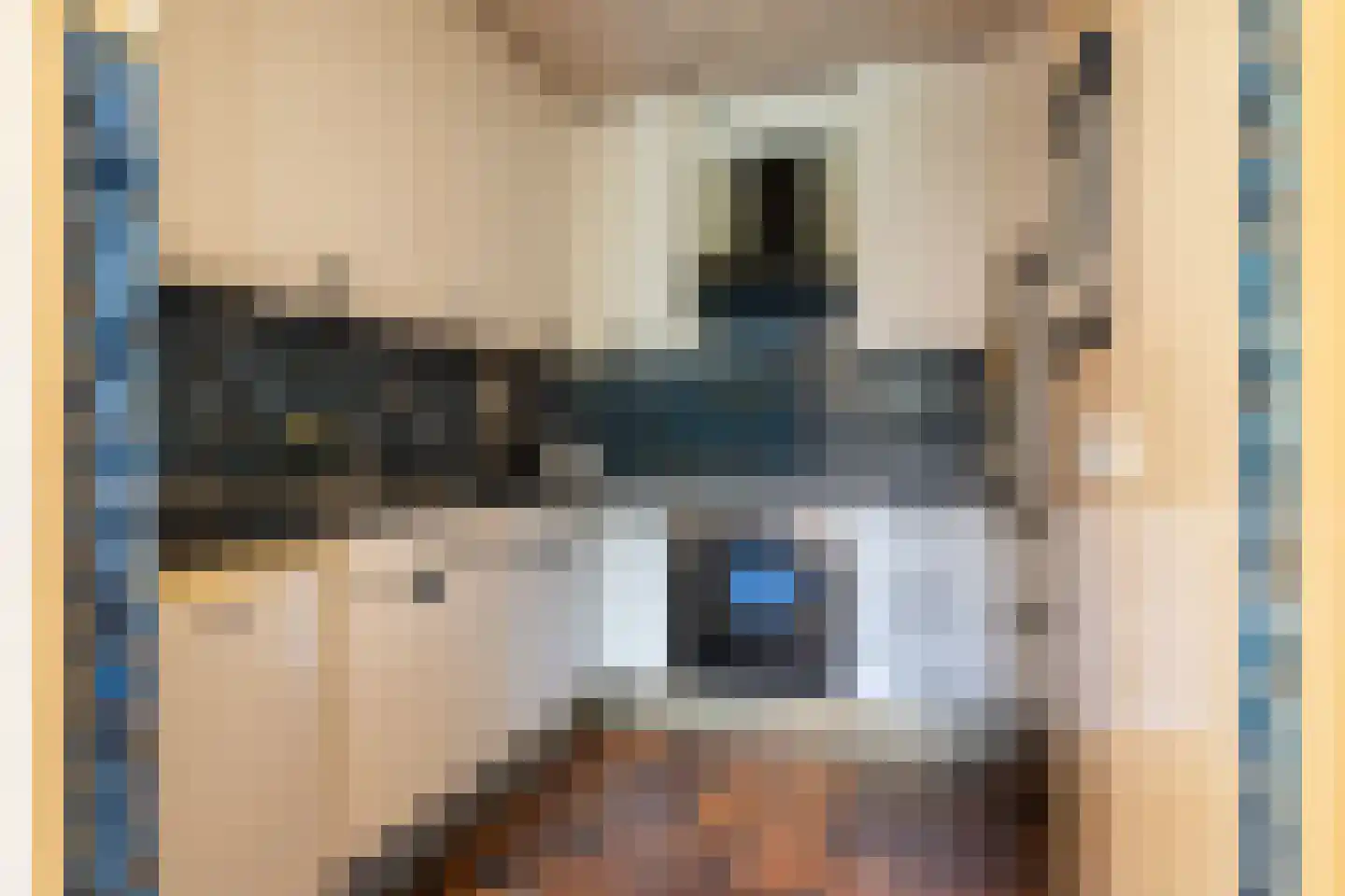 Schapendrift 151 Beilen thumbnail 14