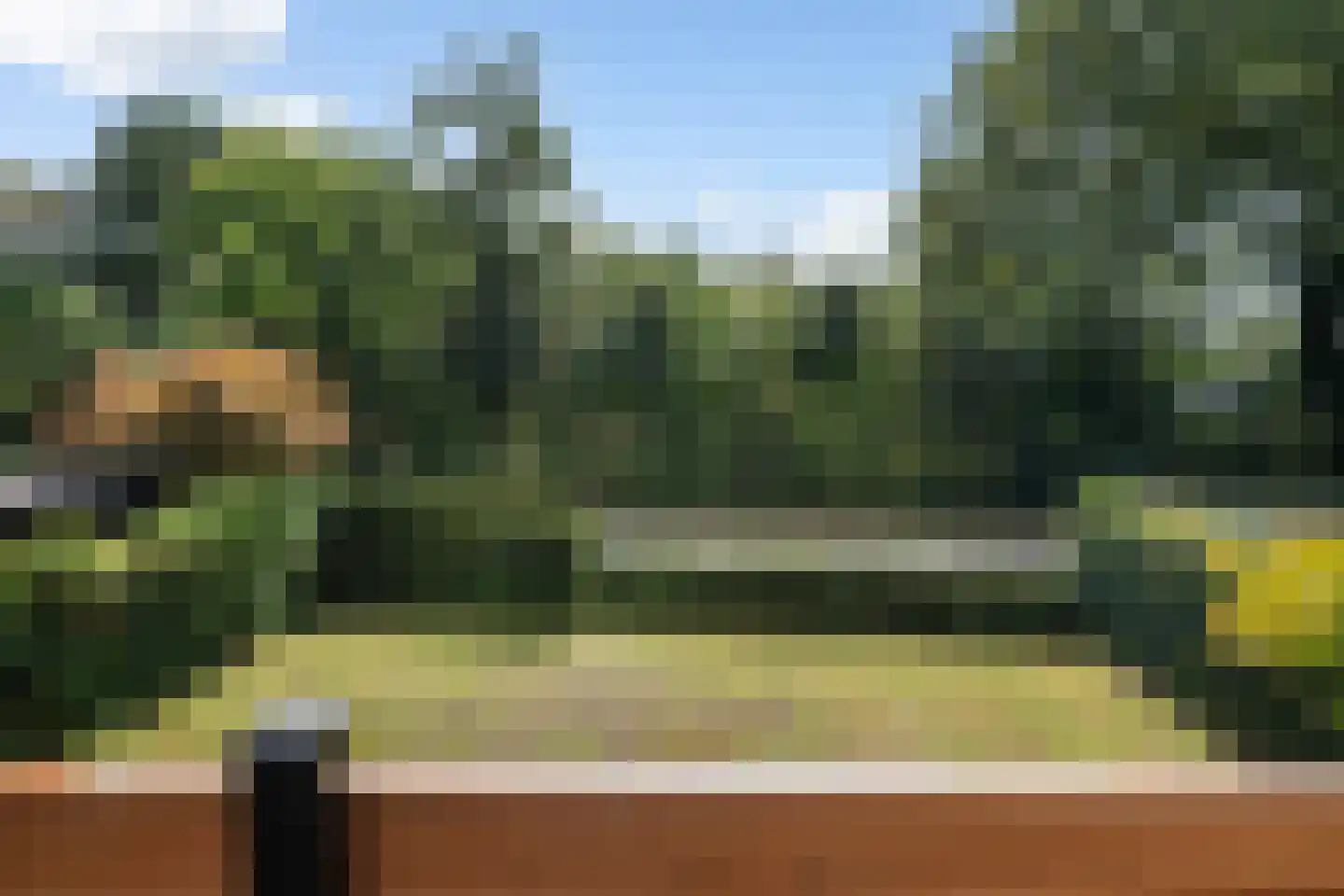 Schapendrift 151 Beilen thumbnail 19