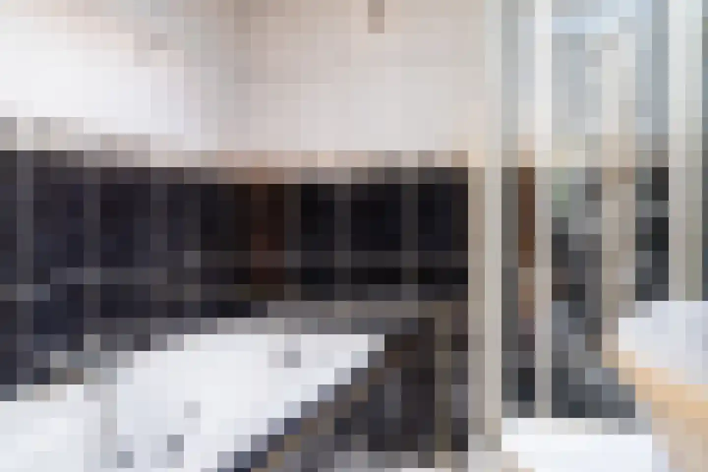 Schapendrift 151 Beilen thumbnail 24