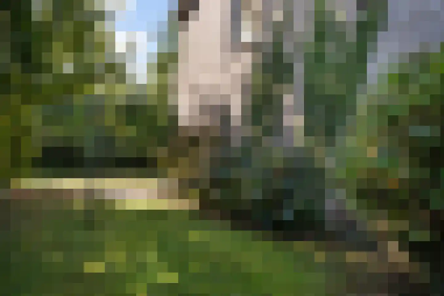 Schapendrift 151 Beilen thumbnail 31