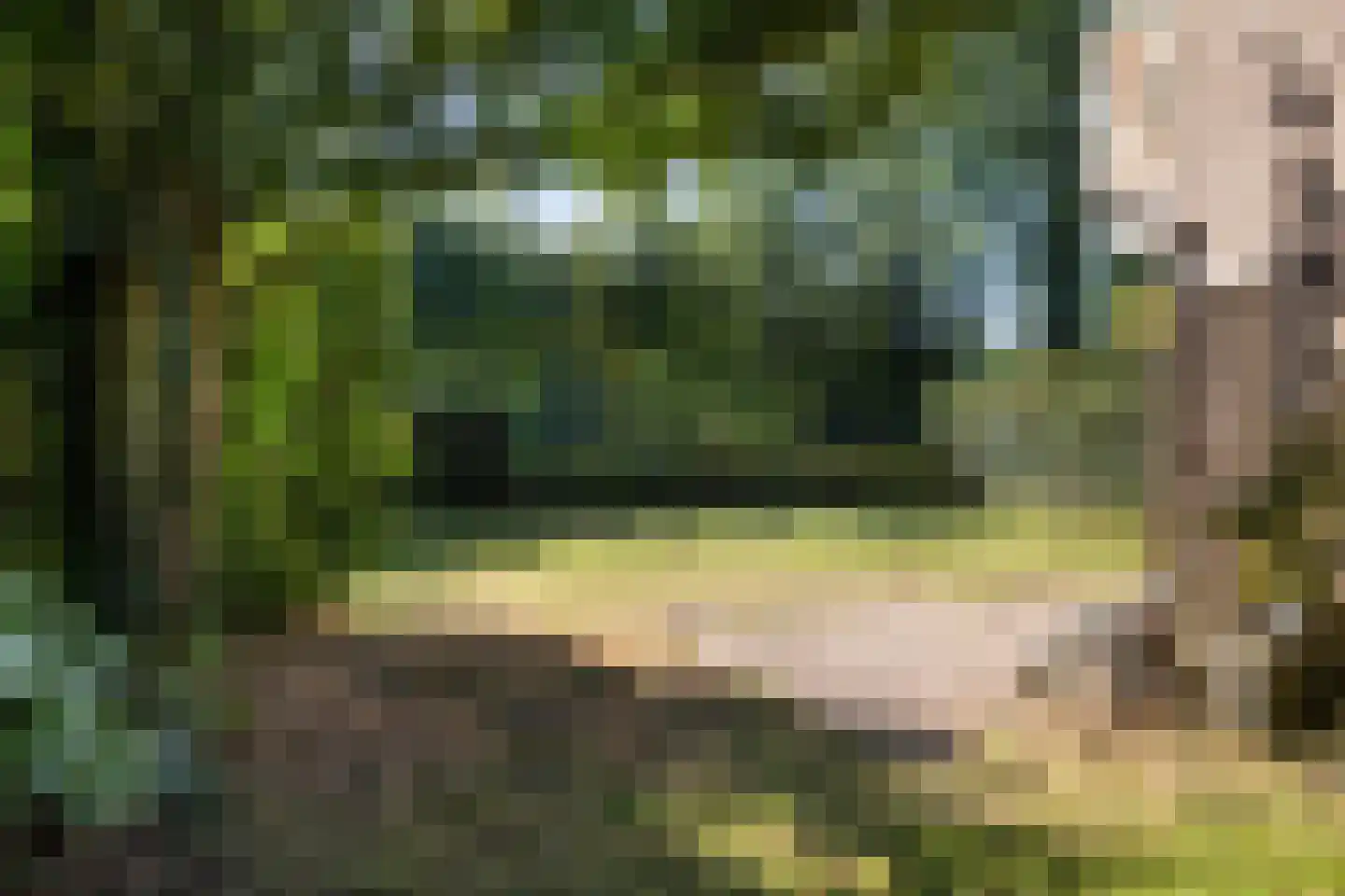 Schapendrift 151 Beilen thumbnail 32