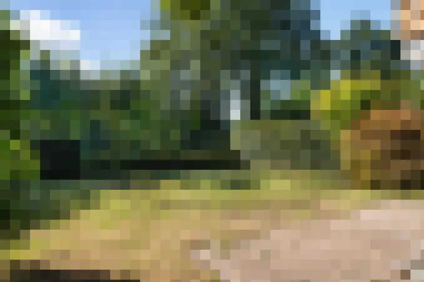 Schapendrift 151 Beilen thumbnail 33