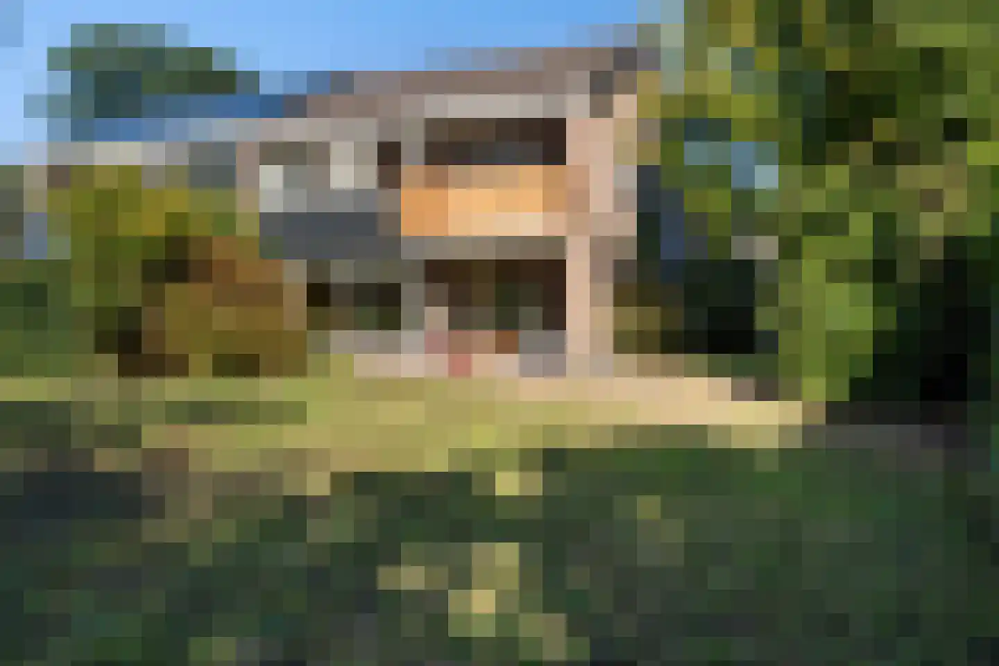 Schapendrift 151 Beilen thumbnail 34