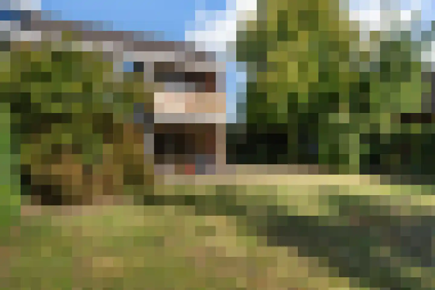 Schapendrift 151 Beilen thumbnail 35