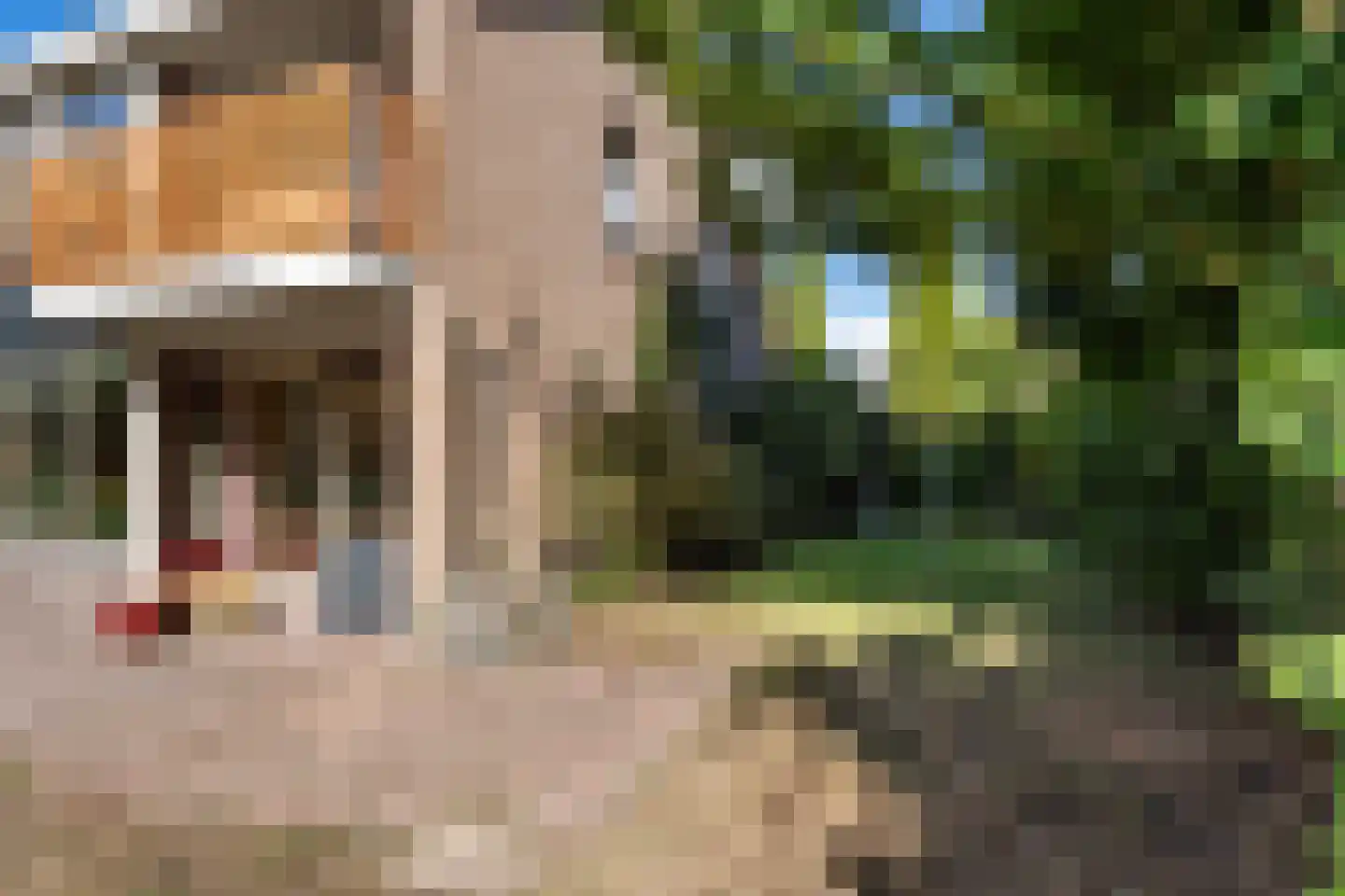 Schapendrift 151 Beilen thumbnail 36