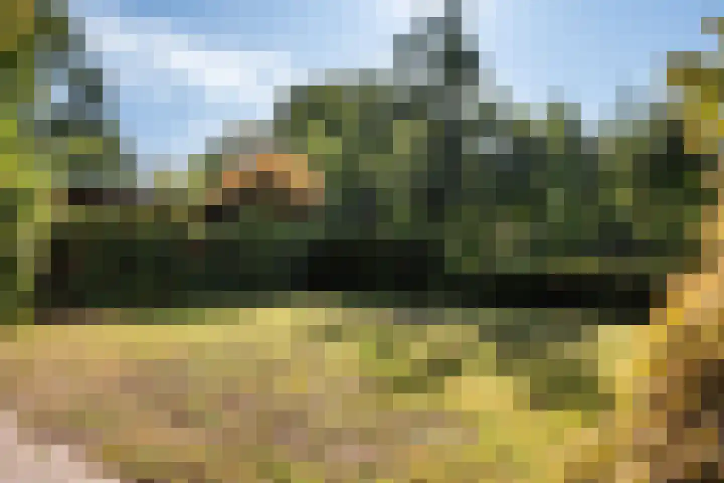 Schapendrift 151 Beilen thumbnail 37