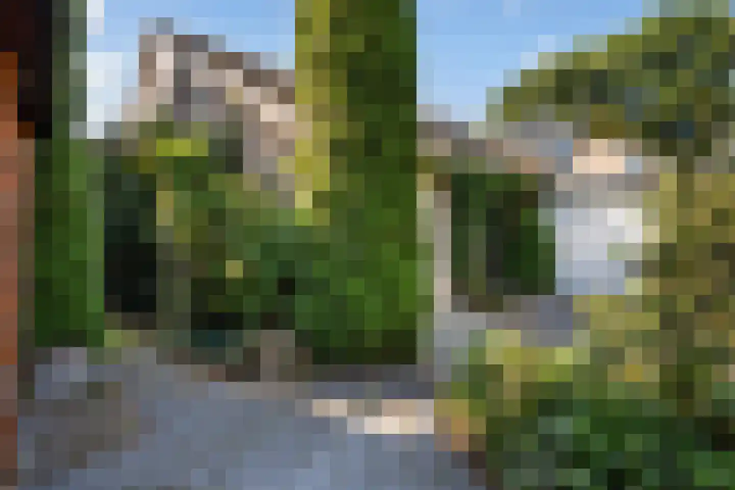 Schapendrift 151 Beilen thumbnail 4