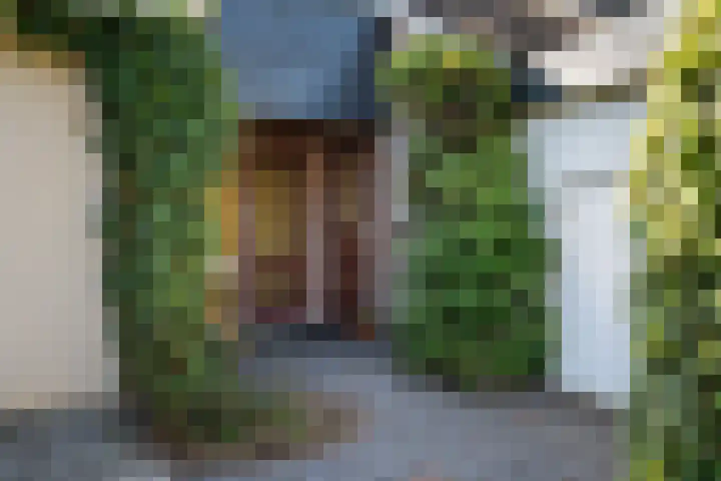 Schapendrift 151 Beilen thumbnail 5