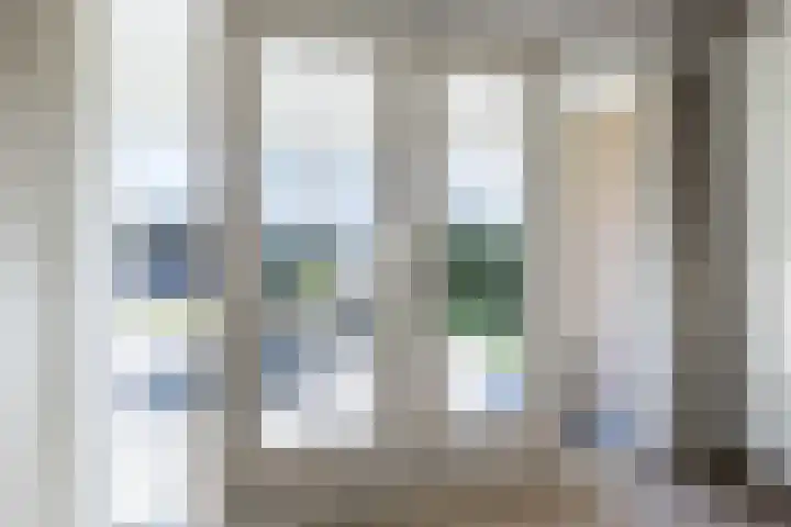 Schapendrift 153 Beilen thumbnail 14