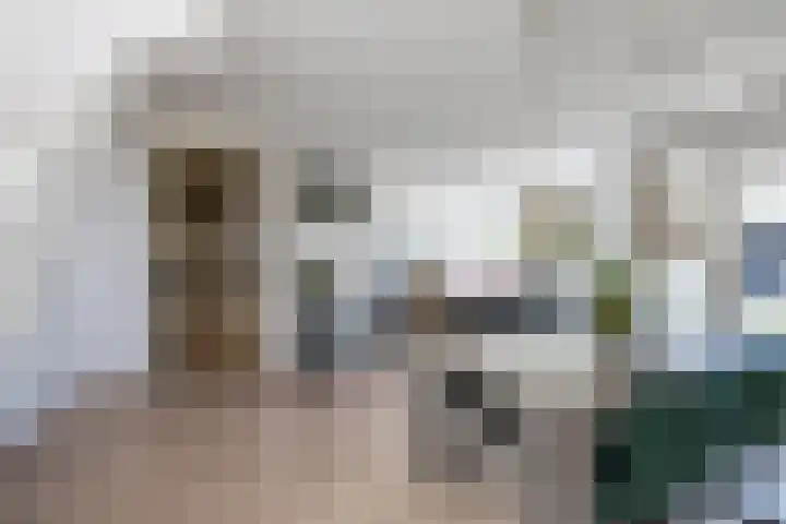 Schapendrift 153 Beilen thumbnail 15