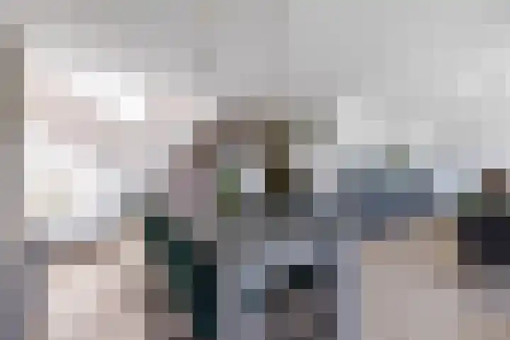 Schapendrift 153 Beilen thumbnail 16