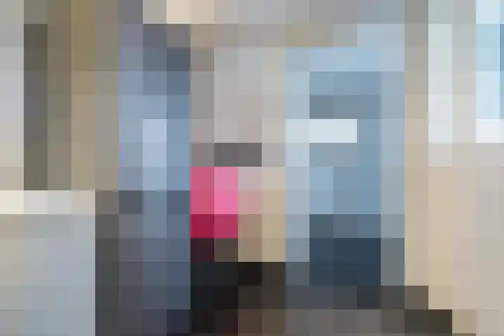 Schapendrift 153 Beilen thumbnail 21