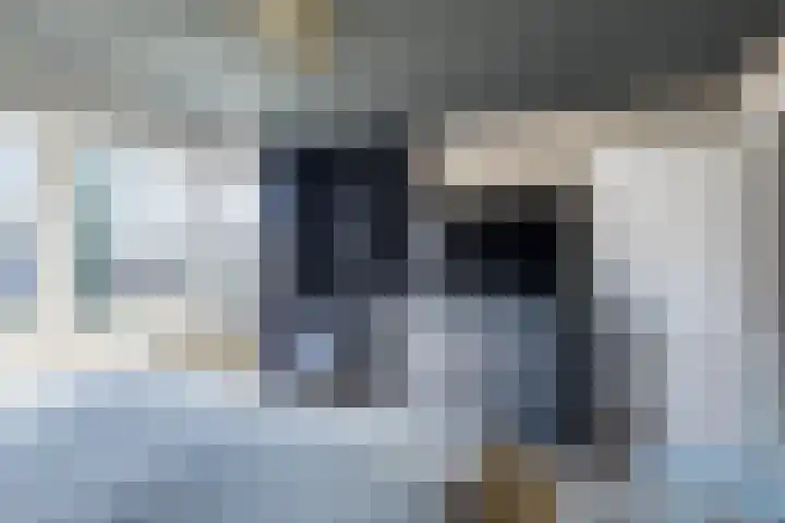 Schapendrift 153 Beilen thumbnail 34