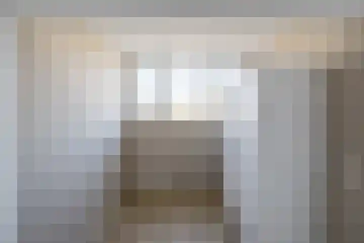 Schapendrift 153 Beilen thumbnail 36