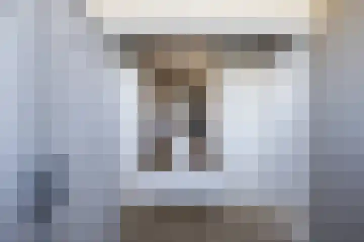 Schapendrift 153 Beilen thumbnail 37