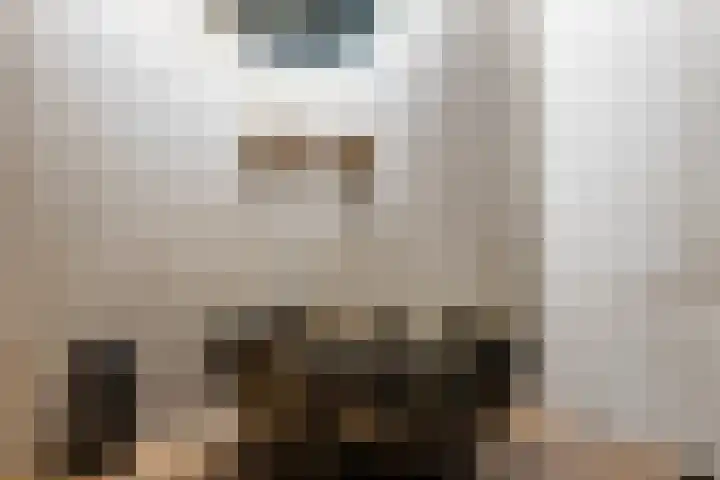 Schapendrift 153 Beilen thumbnail 42