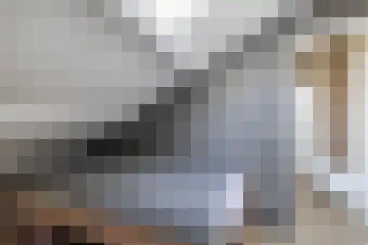 Schapendrift 153 Beilen thumbnail 49