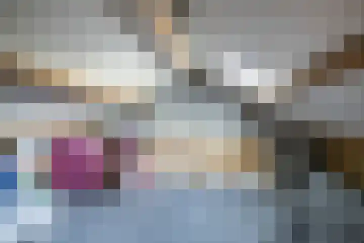 Schapendrift 153 Beilen thumbnail 51